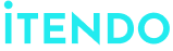 intendo Neon Logo